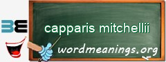 WordMeaning blackboard for capparis mitchellii